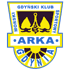 Arka Gdynia, Polish football club