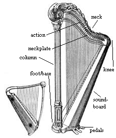 A traditional folk harp and modern concert harp. Public domain image from Websters Dictionary 1911. (Full-size image) 