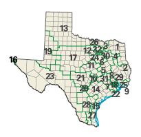 Texas congressional districts