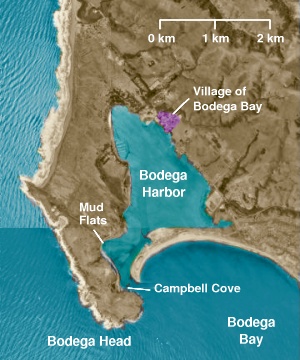 The village of Bodega Bay on Bodega Harbor