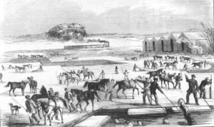 Ice Harvesting on Spy Pond, from a 1854 Print.  Arlington MA USA