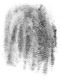 The same fingerprint as it would be detected on a surface.