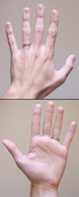 A human hand typically has four fingers and a thumb; 15kb 