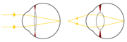 Light from a single point of a distant object and light from a single point of a near object being brought to a focus.
