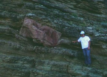 From the , a transported quartzite block in Cambrian sedimentary strata, identical to quartzite found in the Precambrian layer hundreds of feet below, which flood geology supporters argue came to rest there by means of large-scale liquefaction.