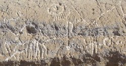 Petroglyphs on Petroglyph Point