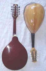 Carved and round backed mandolins (back)