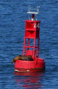 Buoy in San Diego Harbor. Note metal plates near the top configured at right angles to reflect radar signals.