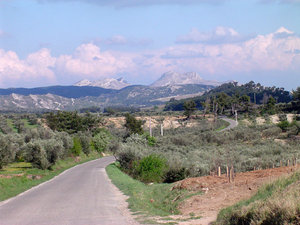 Alpilles landscape near Le Destet. The three types of landscape forms can clearly be seen: cultivated land on the lower slopes, trees on the foothills and bare rock on the peaks.