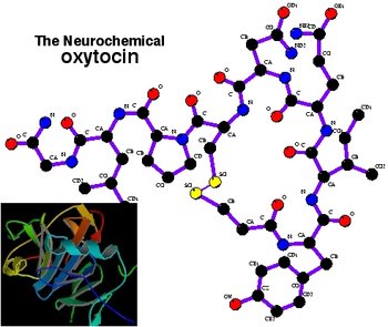 Neuropeptide oxytocin