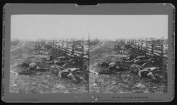 Dead Confederate soldiers from Starke's Louisiana Brigade, on the Hagerstown Turnpike, north of the Dunker Church.