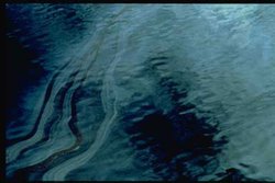 During the first few days of the spill, heavy sheens of oil, such as the sheen visible in this photograph, covered large areas of the surface of Prince William Sound.