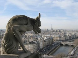 View over Paris from the Grand Gallery of Notre Dame
