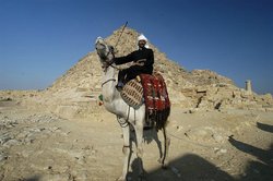 Egyptian on a camel, near the Pyramids at Giza. Photo provided by Classroom Clipart (http://classroomclipart.com)