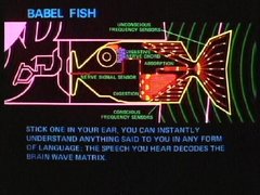 Anatomy of a Babel fish as explained in 