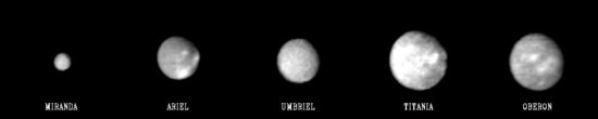 Moons of Uranus compared