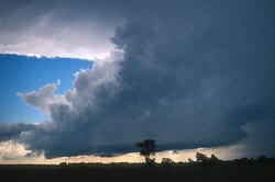 Cumulonimbus cloud in central Oklahoma.  The updraft is the large cloud mass at the center of the photo.  The anvil is the flat layer at the top.  The downdraft is the rainy area to the right.