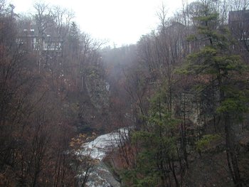 The gorge of Cascadilla Creek in Spring