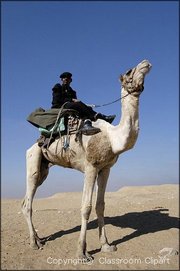 Man and Camel, Desert, Egypt. Image provided by Classroom Clip Art (http://classroomclipart.com)