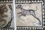 This ancient mosaic shows a large dog with a collar hunting a lion.
