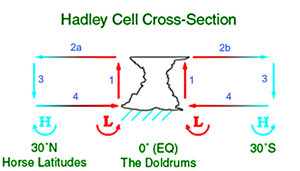 The Hadley cell carries heat and moisture from the tropics to the northern and southern mid-latitudes.
