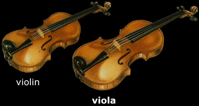 The viola is slightly larger than the violin.