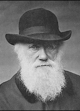 The classic image of Darwin as an old man