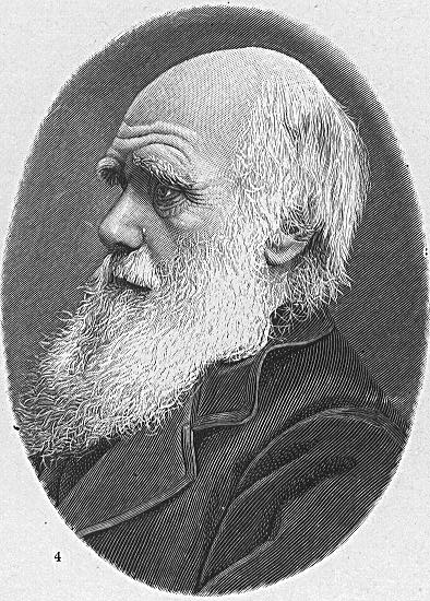 Charles Robert Darwin in 1854, five years prior to the publication of 