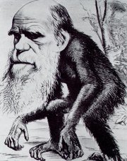 Caricature of Darwin as an ape in the Hornet magazine